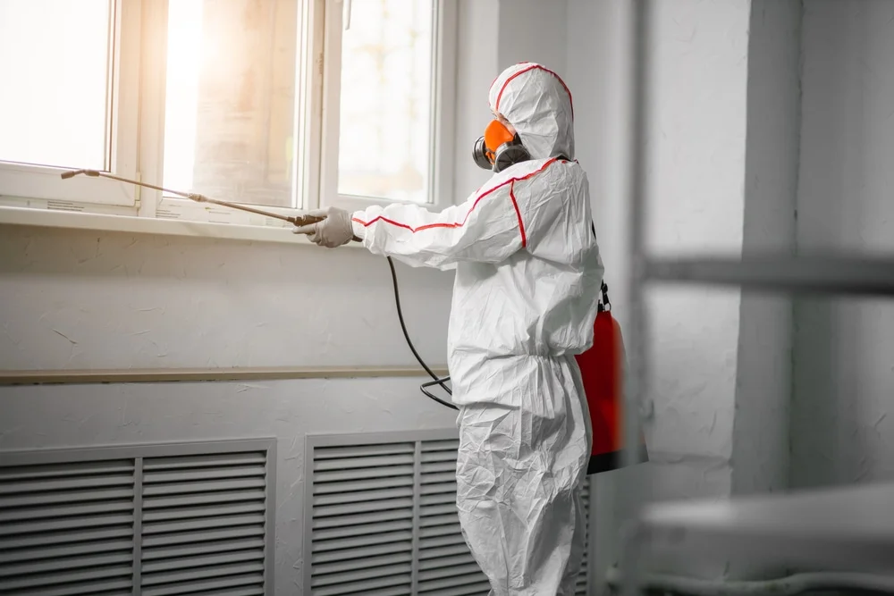 Professional mold remediation services in Williston Park, NY